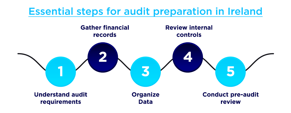 Steps for Preparing for an Audit in Ireland