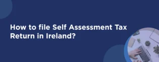 self assessment tax return in ireland